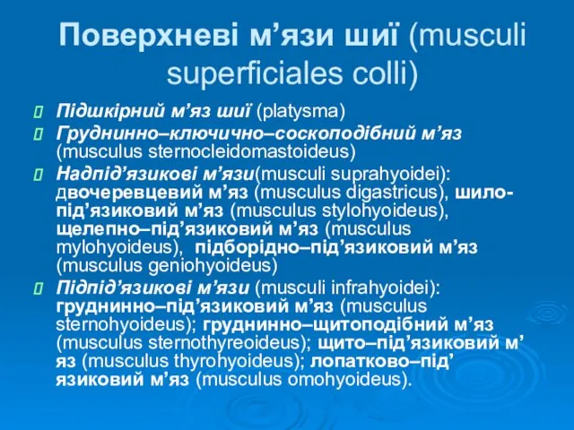 Поверхневі м’язи шиї (musculi superficiales colli) Підшкірний м’яз шиї (platysma) Груднинно–ключично–соскоподібний