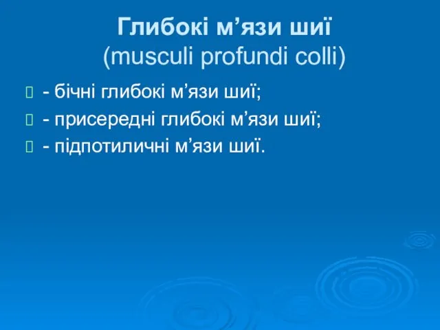 Глибокі м’язи шиї (musculi profundi colli) - бічні глибокі м’язи шиї;