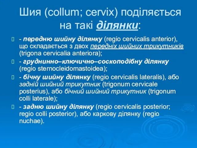 Шия (collum; cervix) поділяється на такі ділянки: - передню шийну ділянку