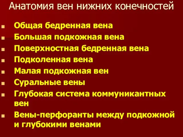 Анатомия вен нижних конечностей Общая бедренная вена Большая подкожная вена Поверхностная