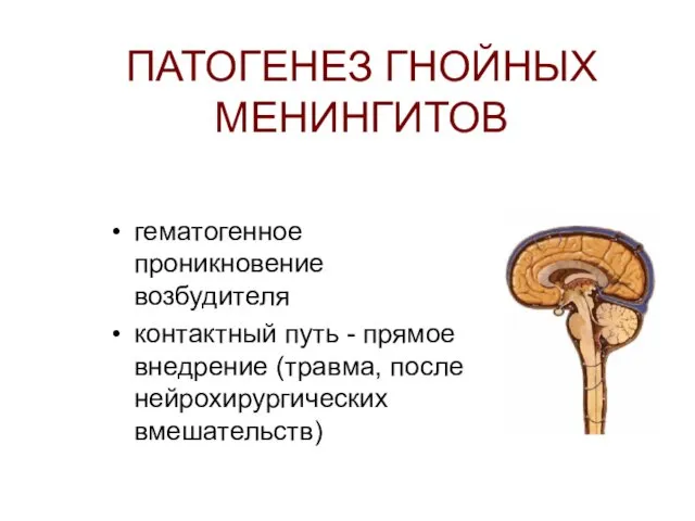 ПАТОГЕНЕЗ ГНОЙНЫХ МЕНИНГИТОВ гематогенное проникновение возбудителя контактный путь - прямое внедрение (травма, после нейрохирургических вмешательств)