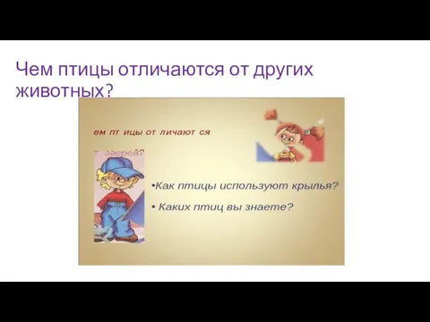 Чем птицы отличаются от других животных?