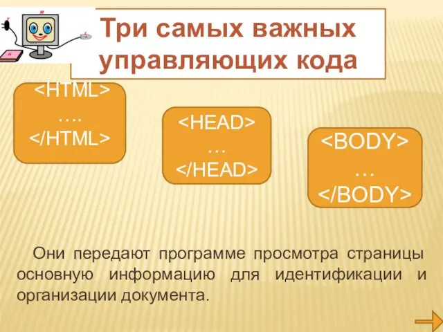 Они передают программе просмотра страницы основную информацию для идентификации и организации