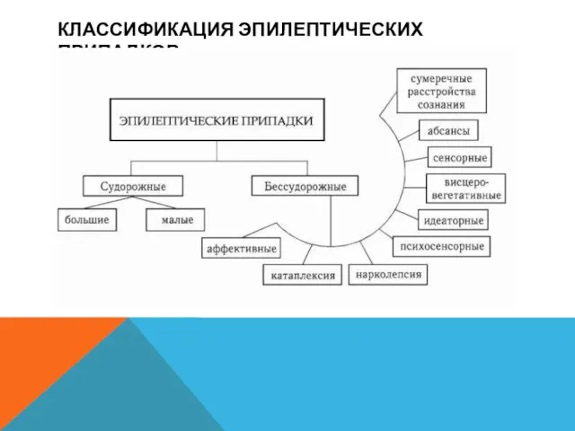 КЛАССИФИКАЦИЯ ЭПИЛЕПТИЧЕСКИХ ПРИПАДКОВ