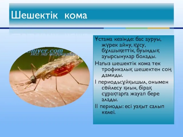 Ұстама кезінде: бас ауруы, жүрек айну, құсу, бұлшықеттік, буындық ауырсынулар болады.