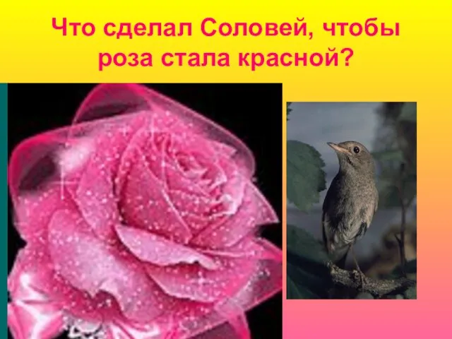 Что сделал Соловей, чтобы роза стала красной?