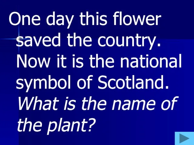 One day this flower saved the country. Now it is the