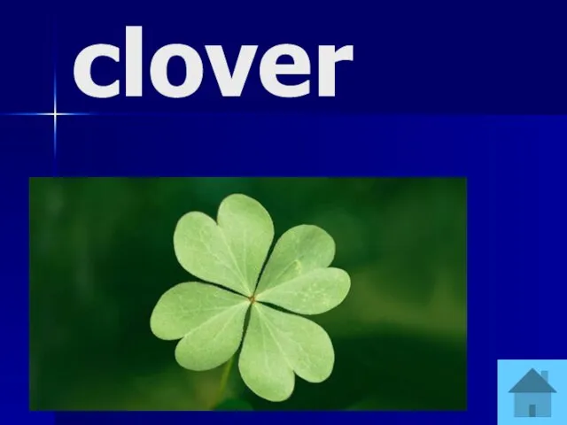 clover