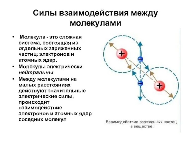 Силы взаимодействия между молекулами Молекула - это сложная система, состоящая из