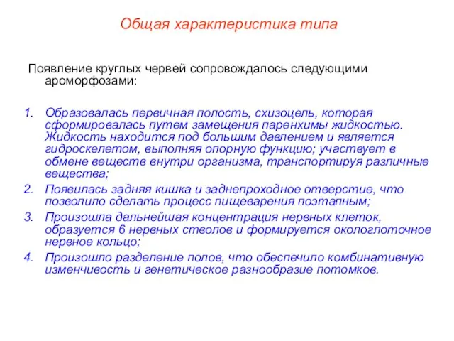 Общая характеристика типа Появление круглых червей сопровождалось следующими ароморфозами: Образовалась первичная