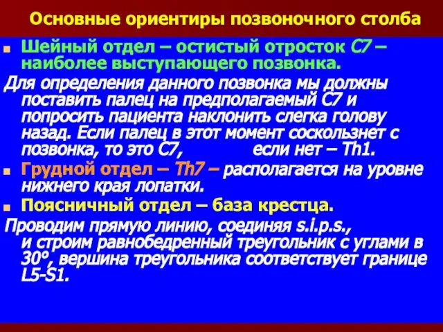 Основные ориентиры позвоночного столба Шейный отдел – остистый отросток C7 –