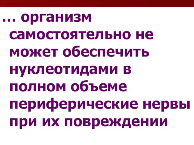 … организм самостоятельно не может обеспечить нуклеотидами в полном объеме периферические нервы при их повреждении