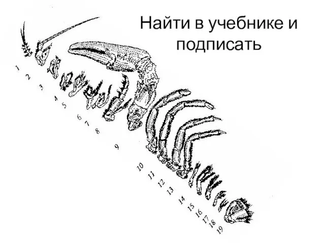 Найти в учебнике и подписать