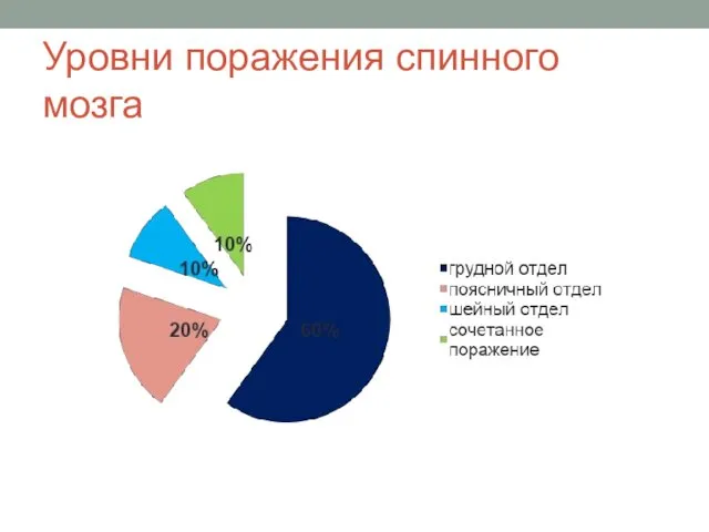 Уровни поражения спинного мозга