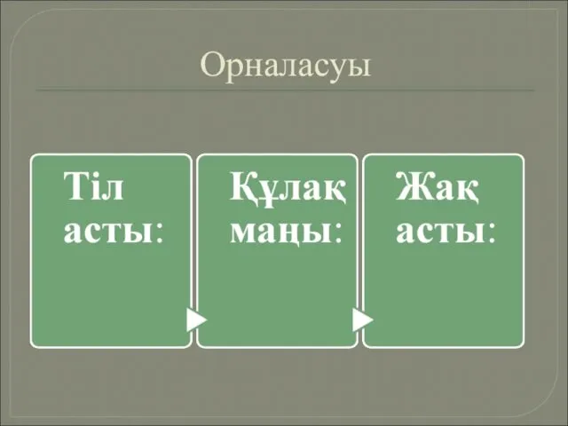 Орналасуы