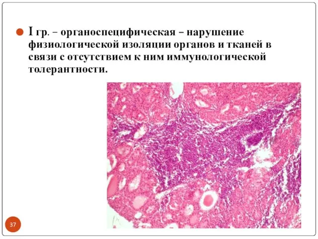 I гр. – органоспецифическая – нарушение физиологической изоляции органов и тканей