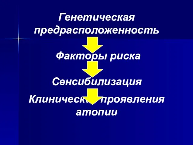 Генетическая предрасположенность Факторы риска Сенсибилизация Клинические проявления атопии