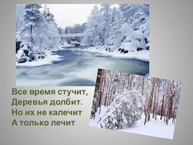 Все время стучит, Деревья долбит. Но их не калечит А только лечит