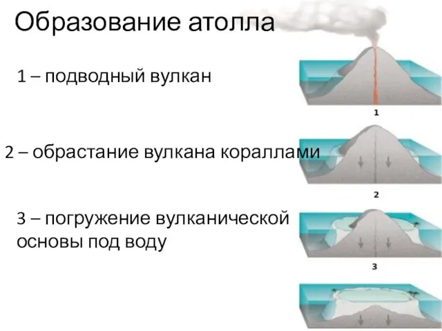 1 – подводный вулкан 2 – обрастание вулкана кораллами 3 –