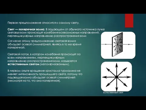 Первое предположение относится к самому свету. Свет — поперечная волна. В