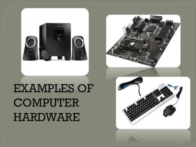 EXAMPLES OF COMPUTER HARDWARE