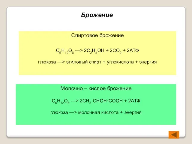 Брожение Спиртовое брожение C6H12O6 —> 2C2H5OH + 2CO2 + 2АТФ глюкоза