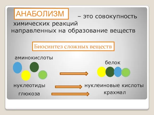 – это совокупность химических реакций направленных на образование веществ Биосинтез сложных