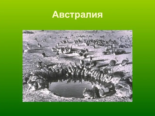 Австралия