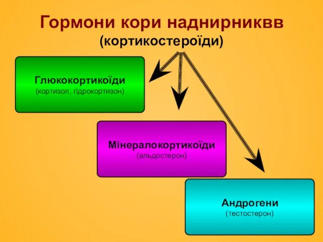 Гормони кори наднирниквв (кортикостероїди) Глюкокортикоїди (кортизол, гідрокортизон) Мінералокортикоїди (альдостерон) Андрогени (тестостерон)