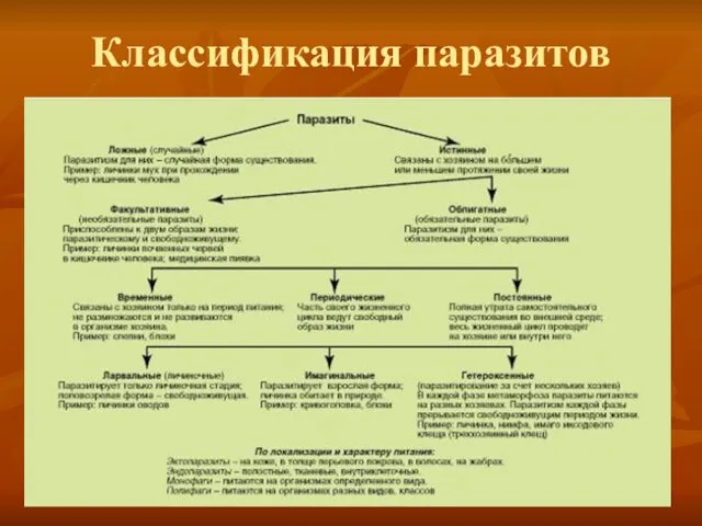 Классификация паразитов