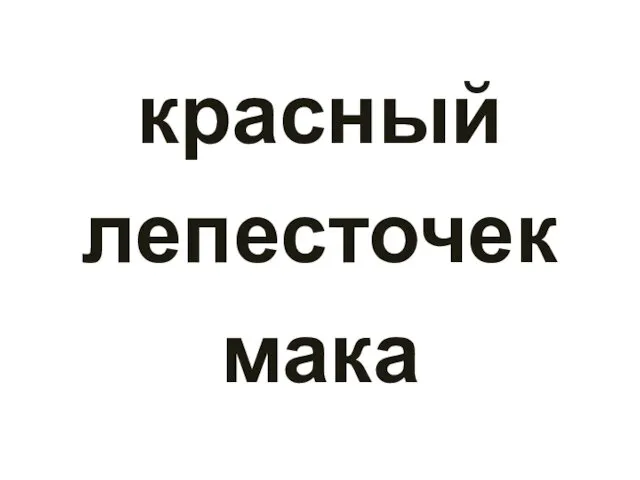 красный лепесточек мака