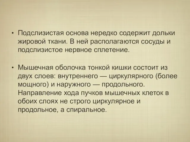 Подслизистая основа нередко содержит дольки жировой ткани. В ней располагаются сосуды