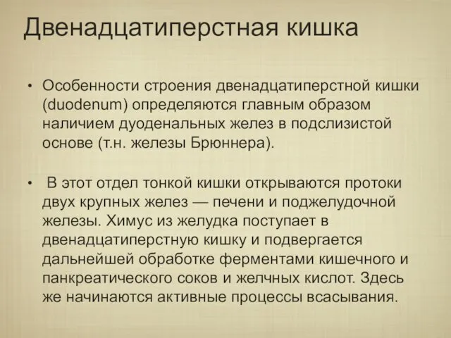 Двенадцатиперстная кишка Особенности строения двенадцатиперстной кишки (duodenum) определяются главным образом наличием