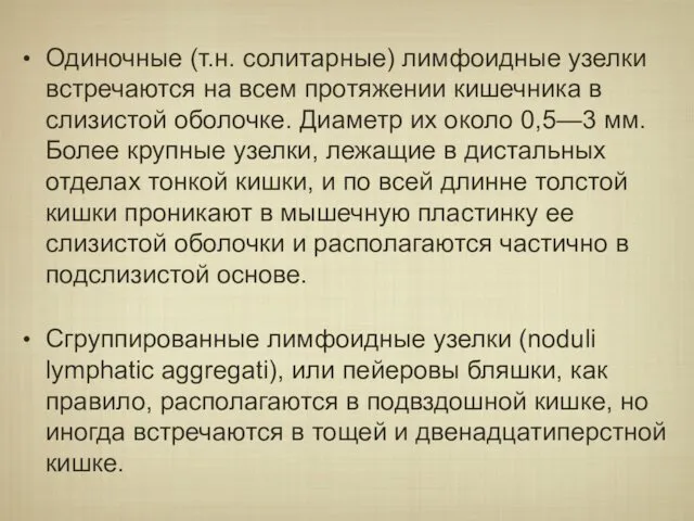 Одиночные (т.н. солитарные) лимфоидные узелки встречаются на всем протяжении кишечника в