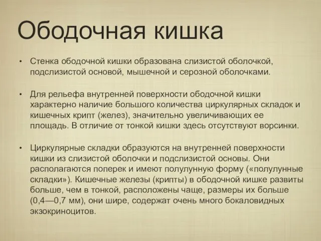 Ободочная кишка Стенка ободочной кишки образована слизистой оболочкой, подслизистой основой, мышечной