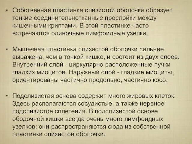 Собственная пластинка слизистой оболочки образует тонкие соединительнотканные прослойки между кишечными криптами.