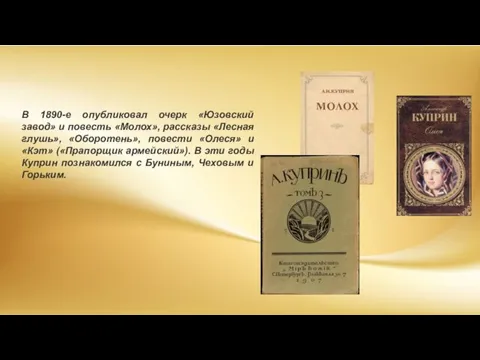 В 1890-е опубликовал очерк «Юзовский завод» и повесть «Молох», рассказы «Лесная