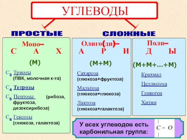 Моно– Олиго(ди)– Поли– С А Х А Р И Д Ы