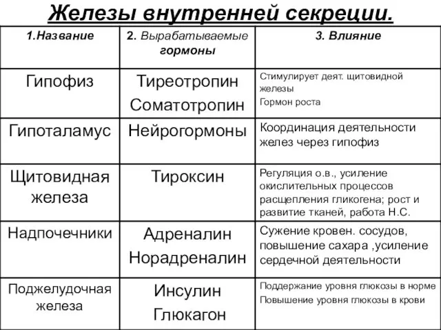 Железы внутренней секреции.