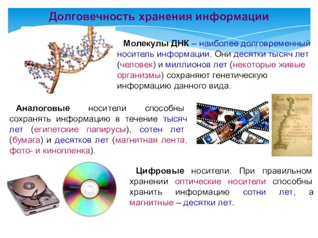 Молекулы ДНК – наиболее долговременный носитель информации. Они десятки тысяч лет