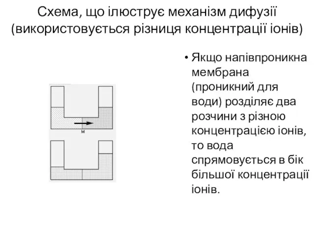 Схема, що ілюструє механізм дифузії (використовується різниця концентрації іонів) Якщо напівпроникна