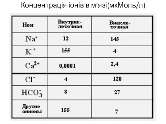 Концентрація іонів в м’язі(мкМоль/л)