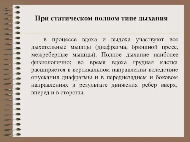 При статическом полном типе дыхания в процессе вдоха и выдоха участвуют