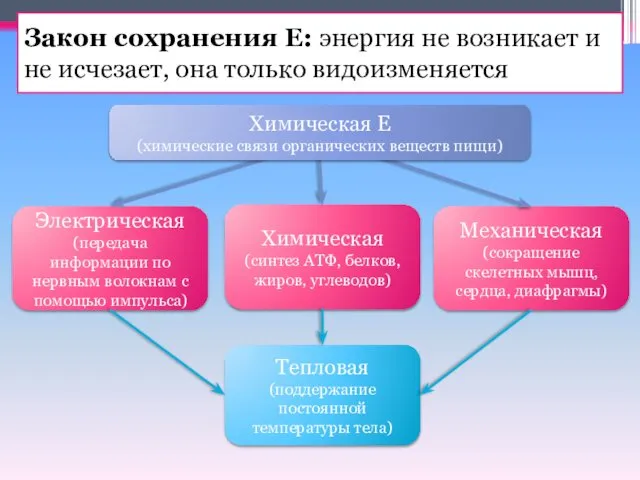 Закон сохранения Е: энергия не возникает и не исчезает, она только