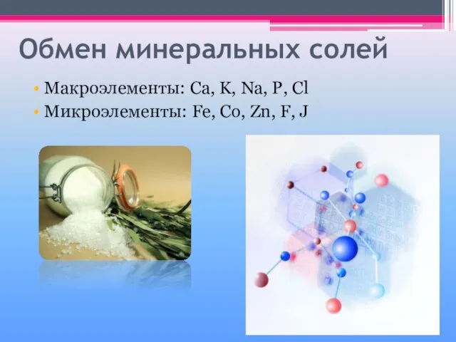 Обмен минеральных солей Макроэлементы: Ca, K, Na, P, Cl Микроэлементы: Fe, Co, Zn, F, J