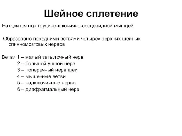 Шейное сплетение Находится под грудино-ключично-сосцевидной мышцей Образовано передними ветвями четырёх верхних