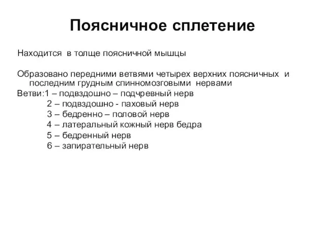 Поясничное сплетение Находится в толще поясничной мышцы Образовано передними ветвями четырех