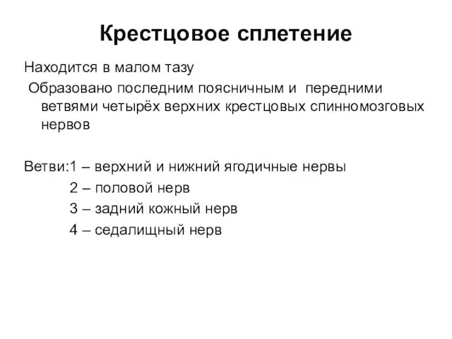 Крестцовое сплетение Находится в малом тазу Образовано последним поясничным и передними