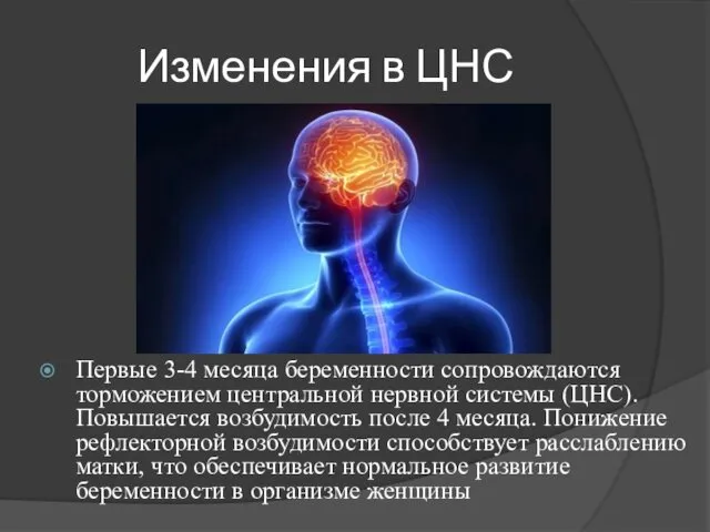 Изменения в ЦНС Первые 3-4 месяца беременности сопровождаются торможением центральной нервной