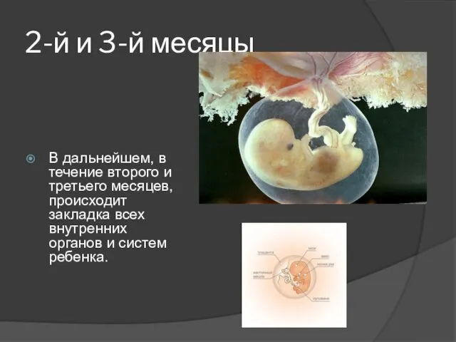 2-й и 3-й месяцы В дальнейшем, в течение второго и третьего